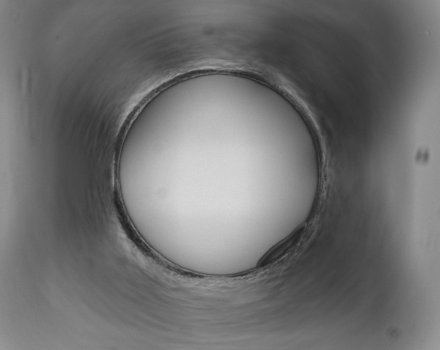 X0000111170011200907011019