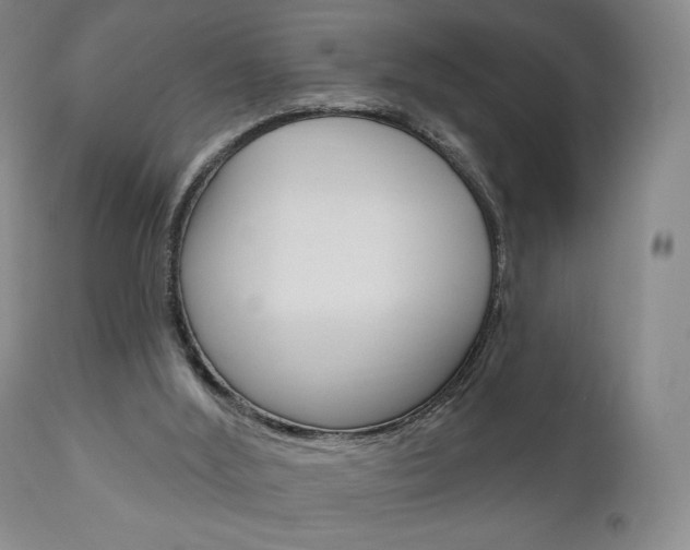 X0000111170012200907011019