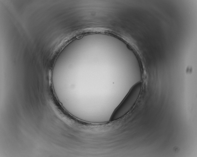 X0000111170013200907011019