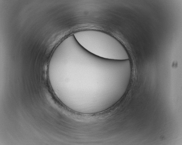 X0000111170014200907011019