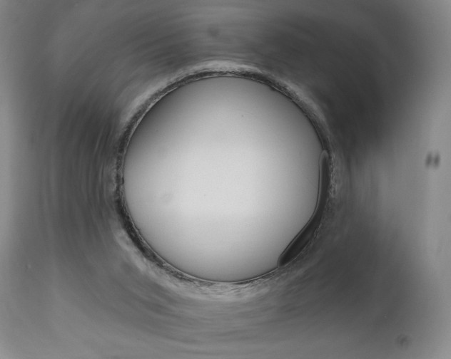 X0000111170015200907011019