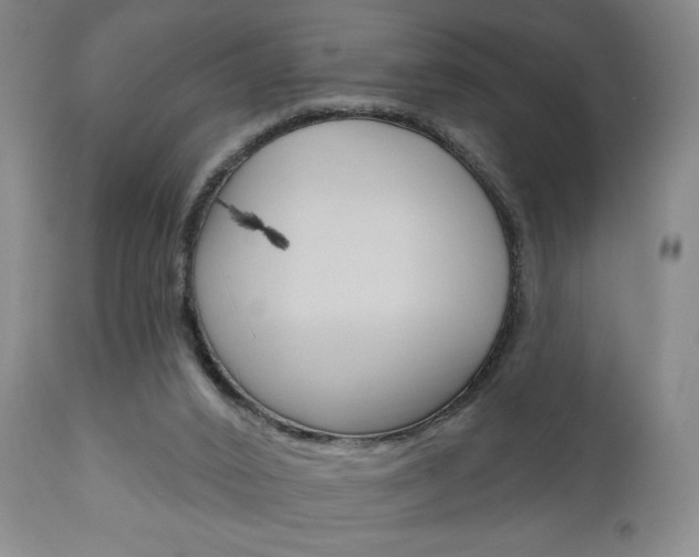 X0000111170016200907011019