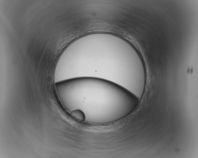 X0000111170017200907011019