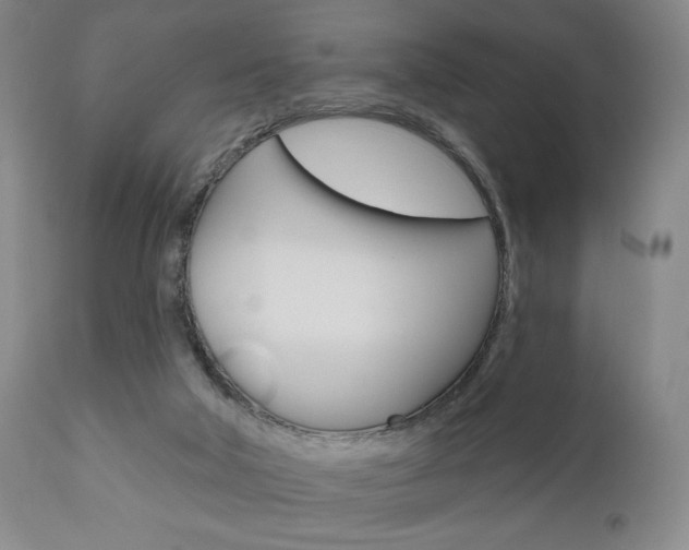 X0000111170018200907011019