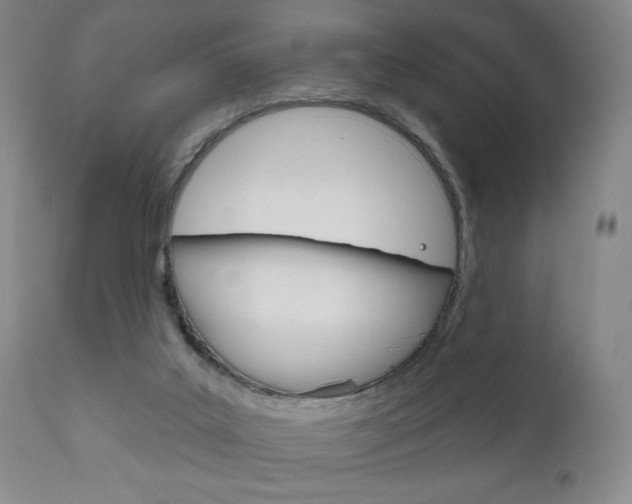 X0000111170019200907011019