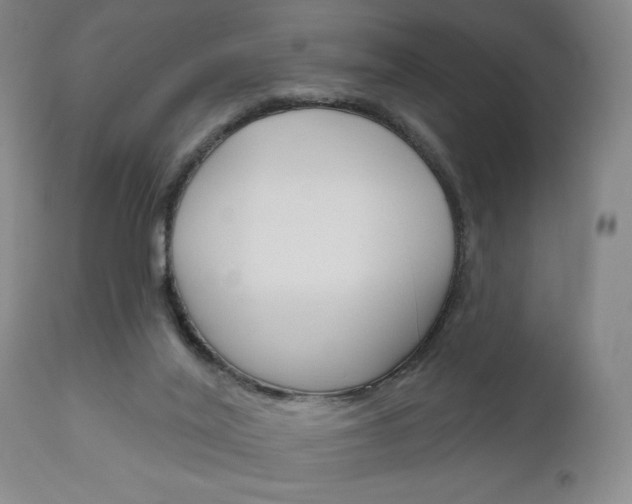 X0000111170020200907011019