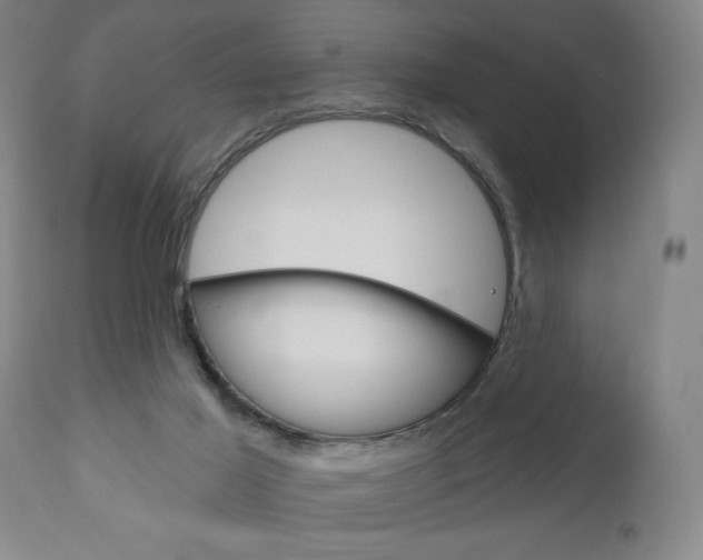 X0000111170021200907011019