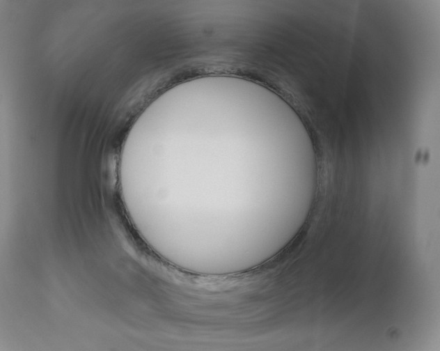 X0000111170022200907011019