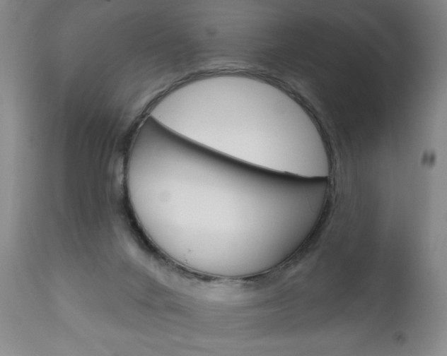 X0000111170024200907011019