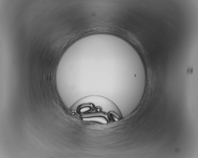 X0000111170025200907011019