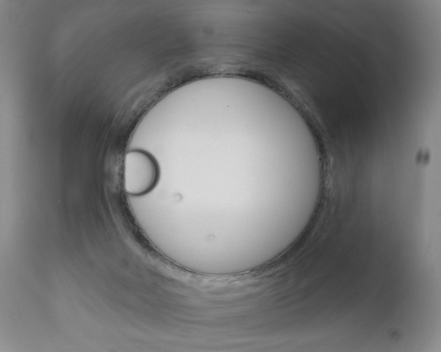 X0000111170026200907011019