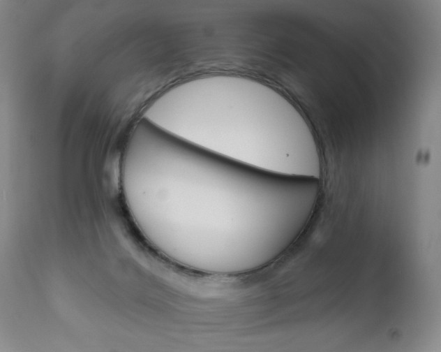 X0000111170028200907011019