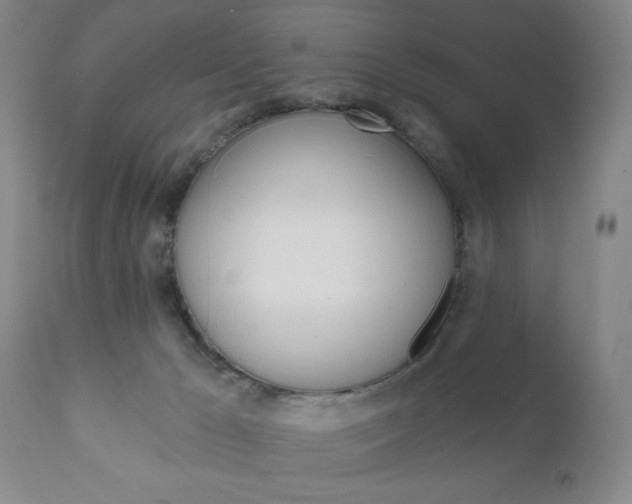 X0000111170029200907011019