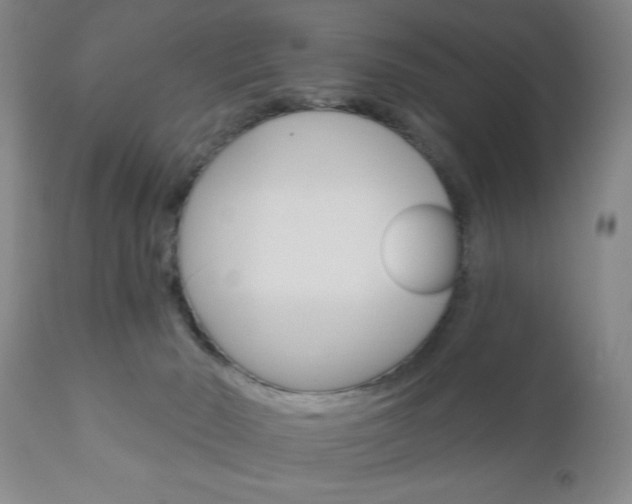 X0000111170030200907011019