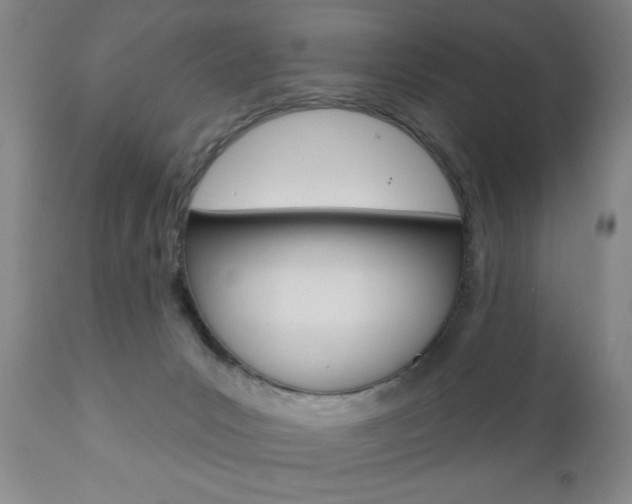 X0000111170031200907011019