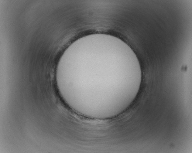 X0000111170032200907011019