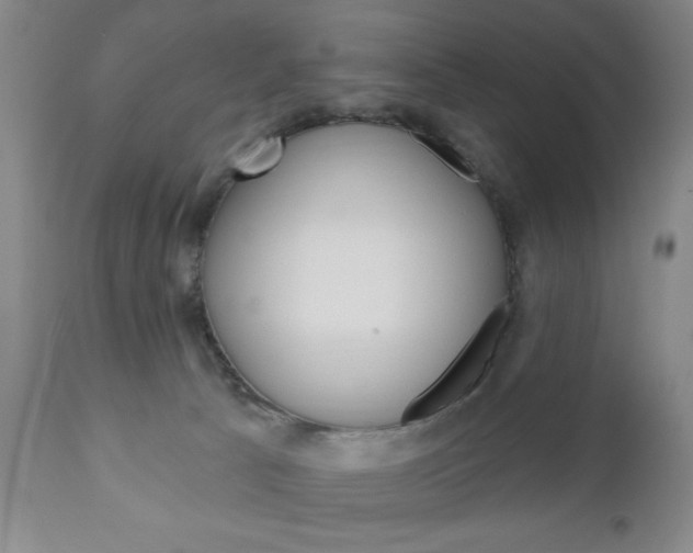 X0000111170033200907011019