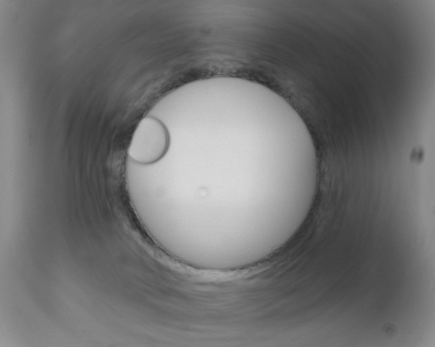 X0000111170034200907011019