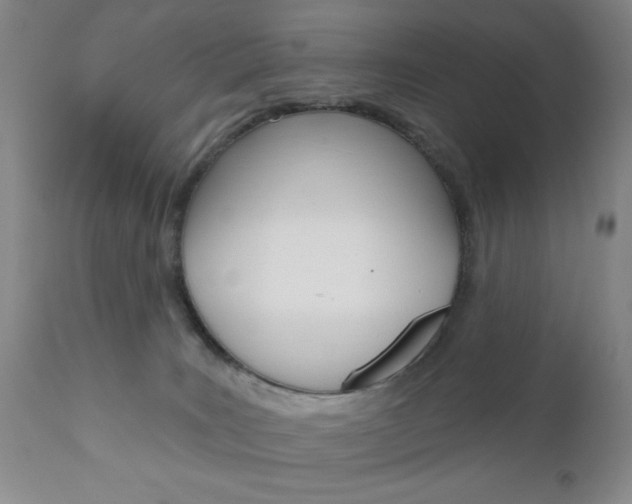 X0000111170035200907011019