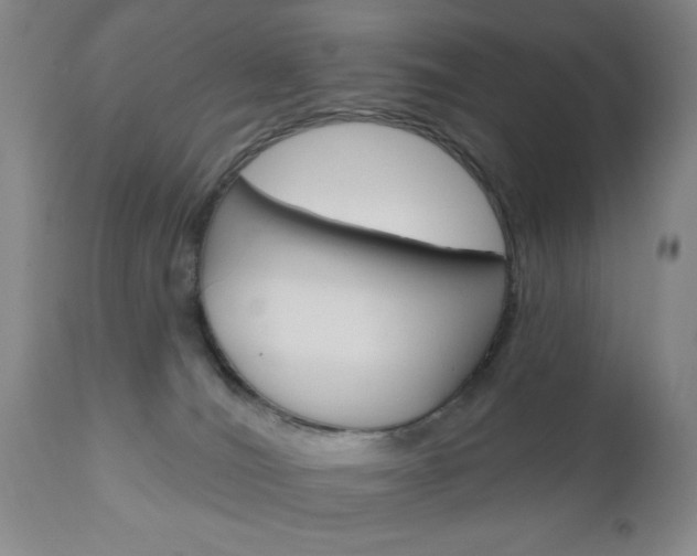 X0000111170036200907011019