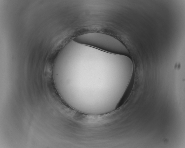 X0000111170037200907011019