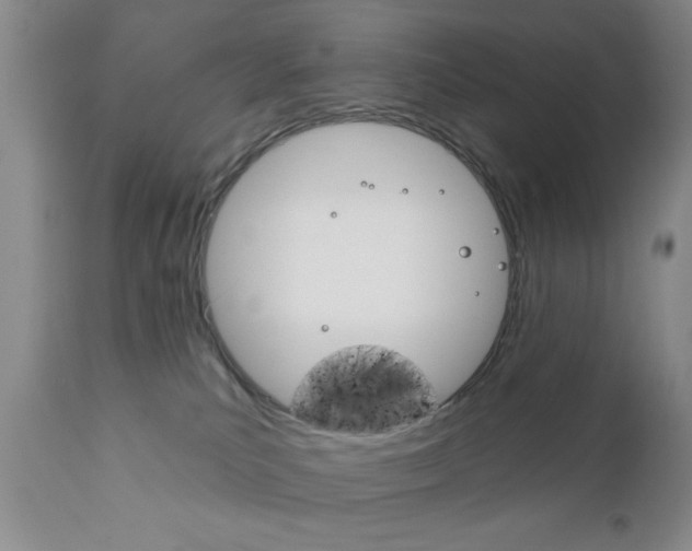 X0000111170039200907011019