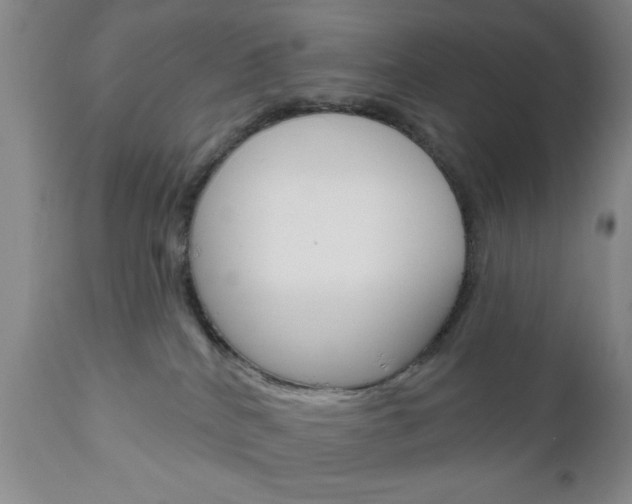 X0000111170040200907011019