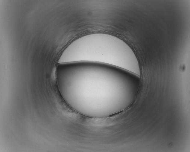 X0000111170041200907011019