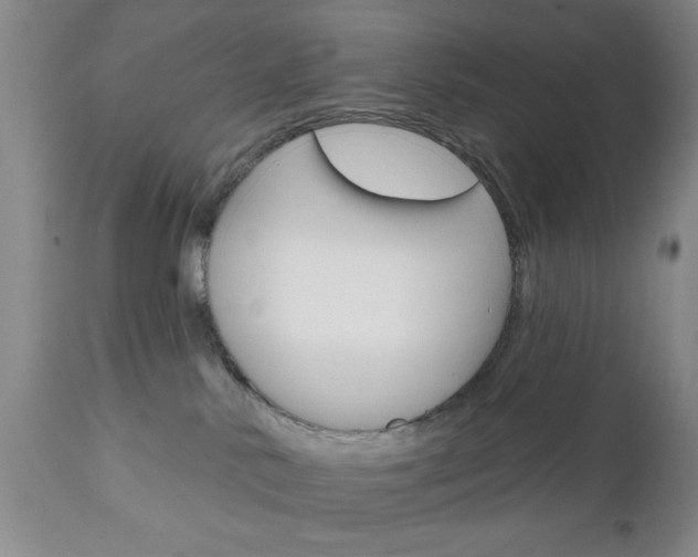 X0000111170042200907011019