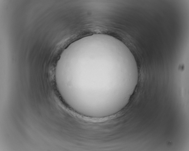 X0000111170043200907011019