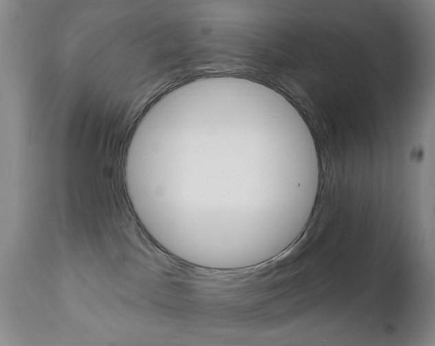 X0000111170045200907011019