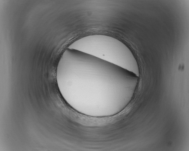 X0000111170048200907011019