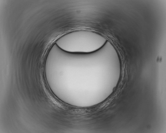 X0000111170049200907011018