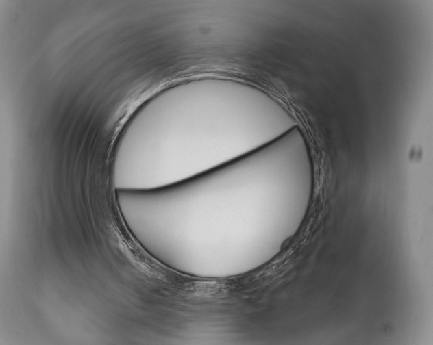 X0000111170050200907011018