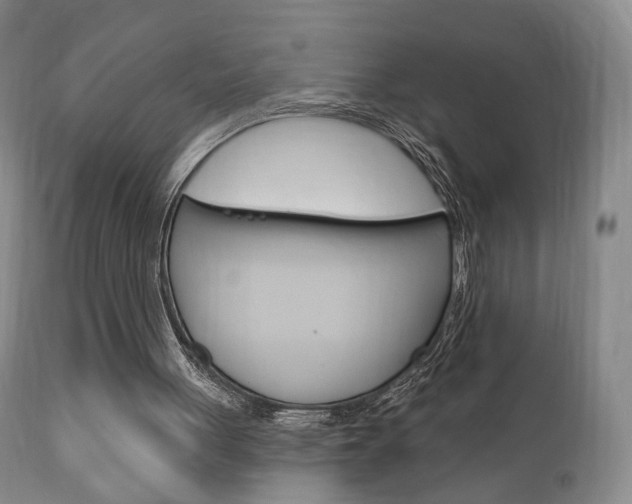 X0000111170051200907011018