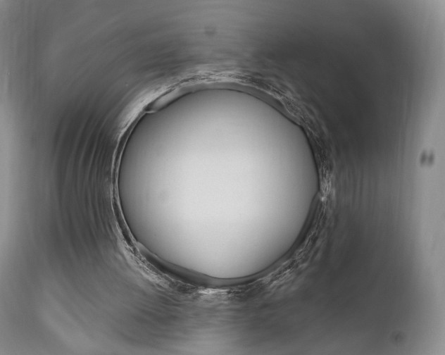 X0000111170052200907011018