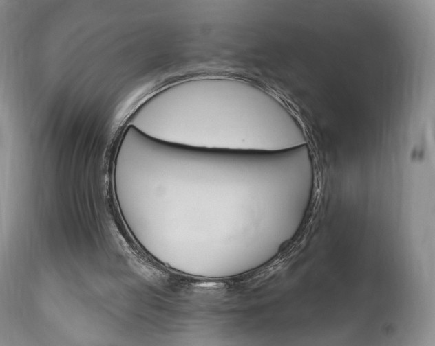 X0000111170053200907011018