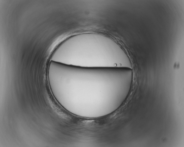 X0000111170054200907011018