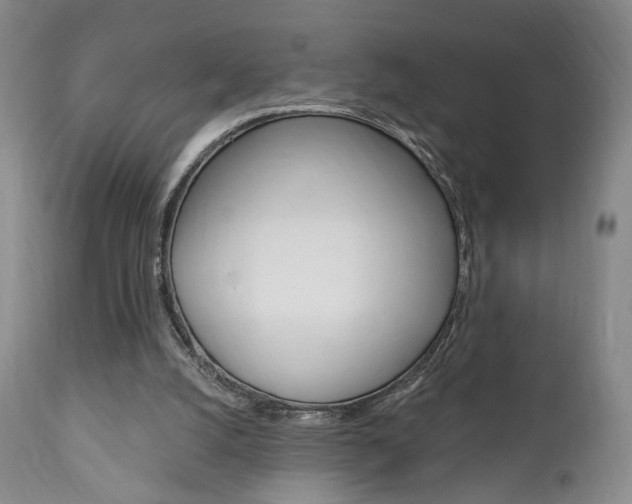 X0000111170056200907011018