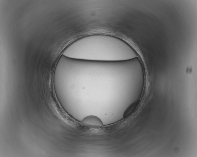 X0000111170057200907011018