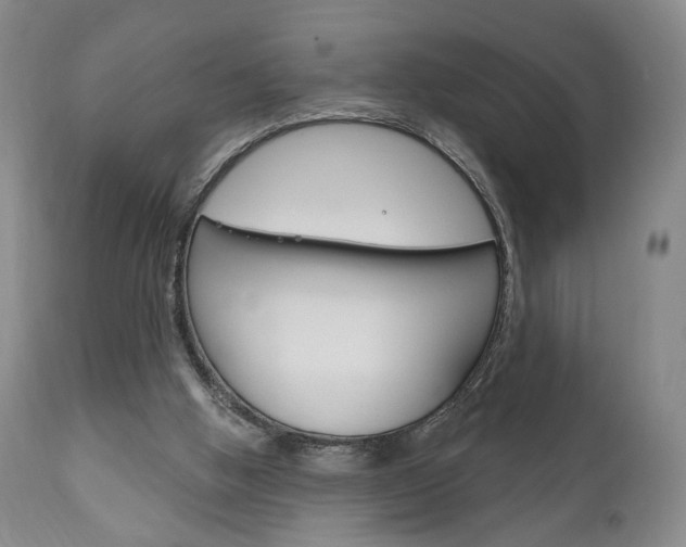 X0000111170058200907011018