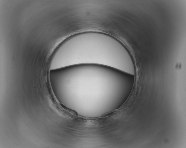 X0000111170060200907011018