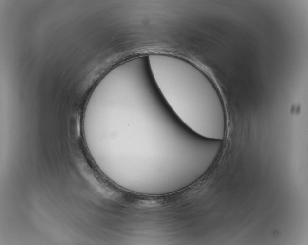 X0000111170061200907011018