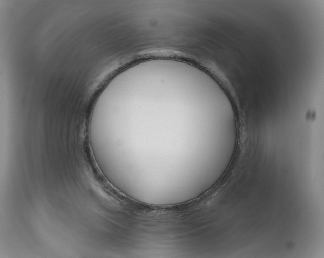 X0000111170063200907011018