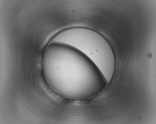 X0000111170064200907011018