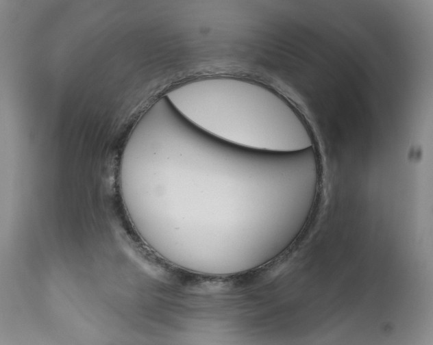 X0000111170065200907011018