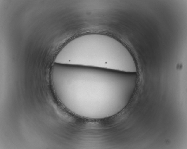 X0000111170066200907011018