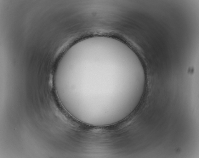 X0000111170067200907011018