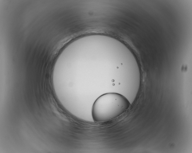 X0000111170068200907011018