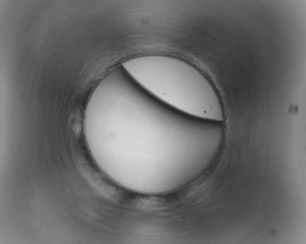 X0000111170069200907011018